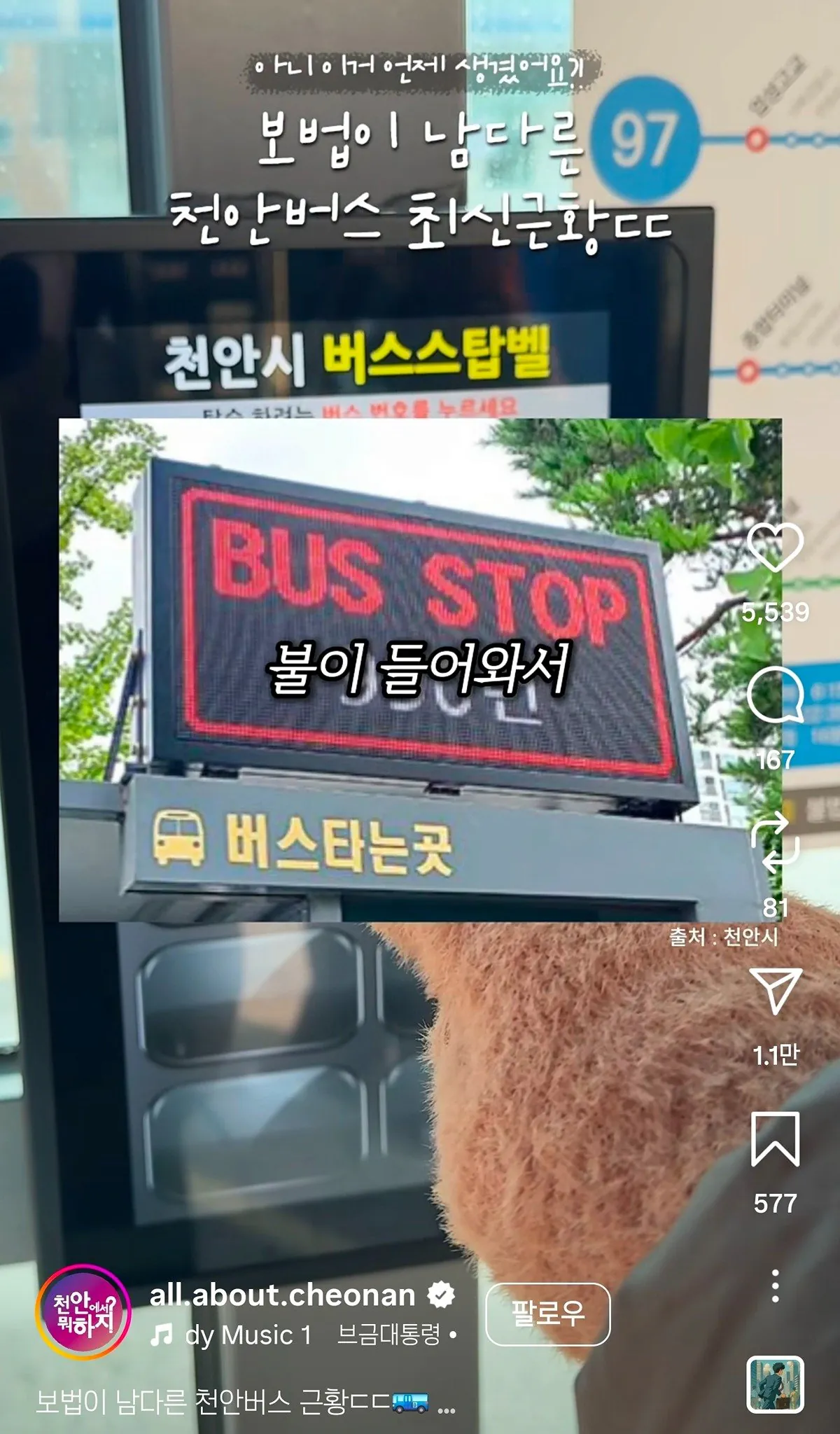 보법이 다른 천안버스 근황 ㄷㄷ