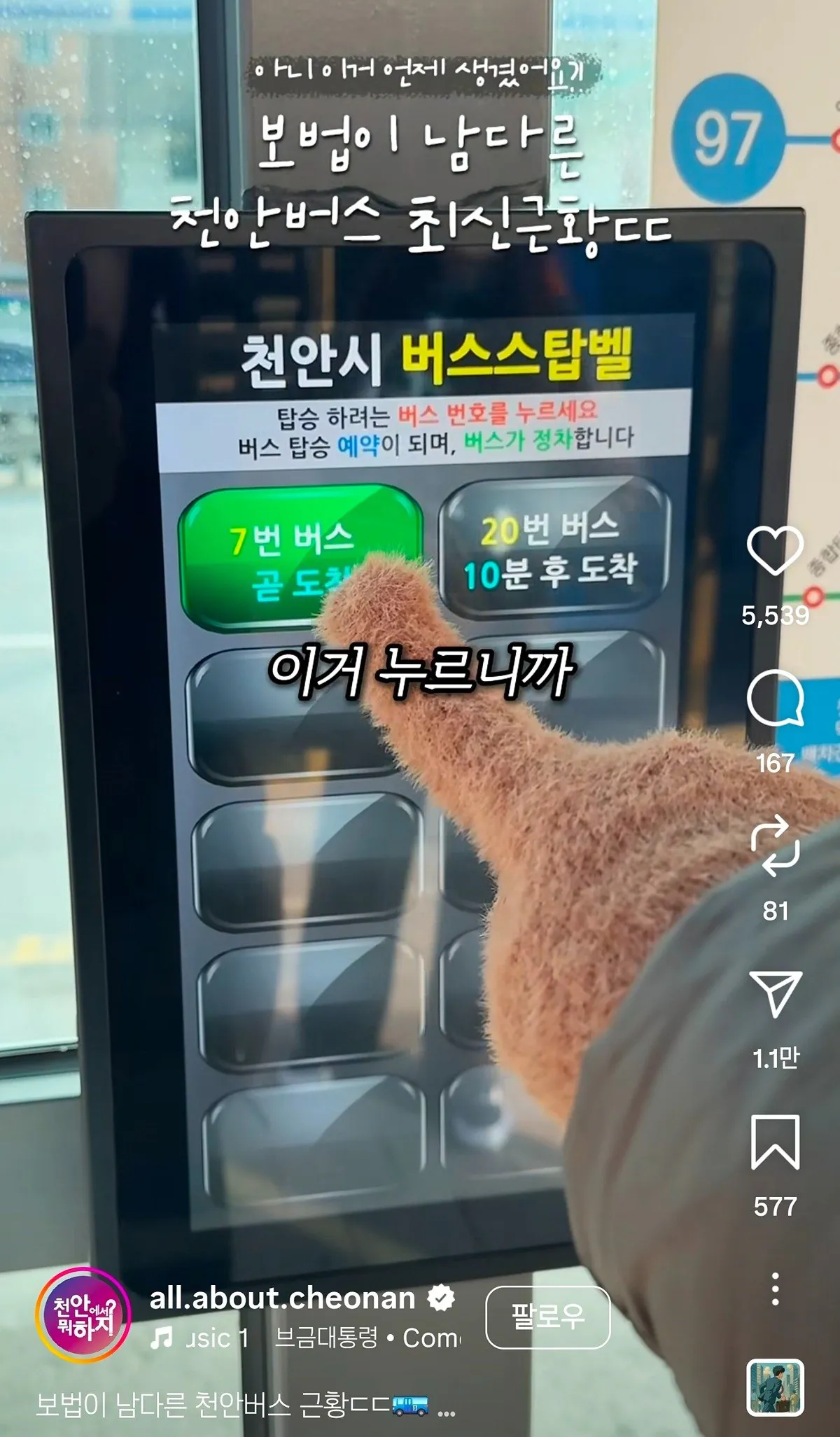 보법이 다른 천안버스 근황 ㄷㄷ