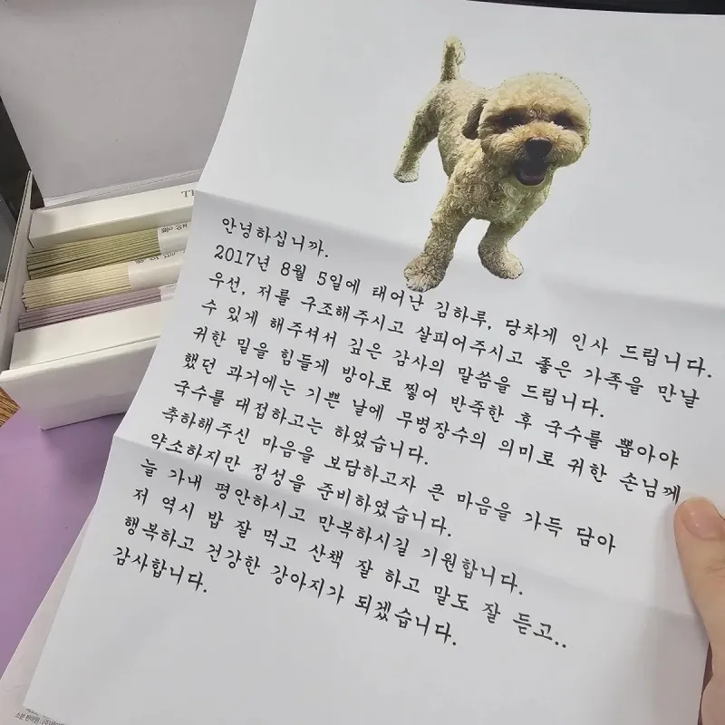 입양보낸 강아지에게서 편지가 왔다