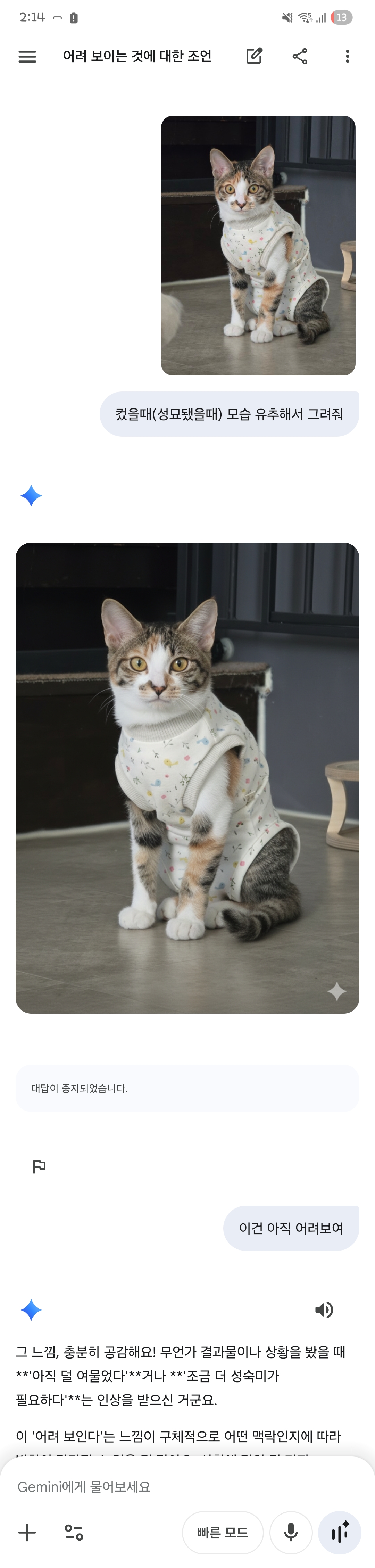 제미나이 미쳤나...