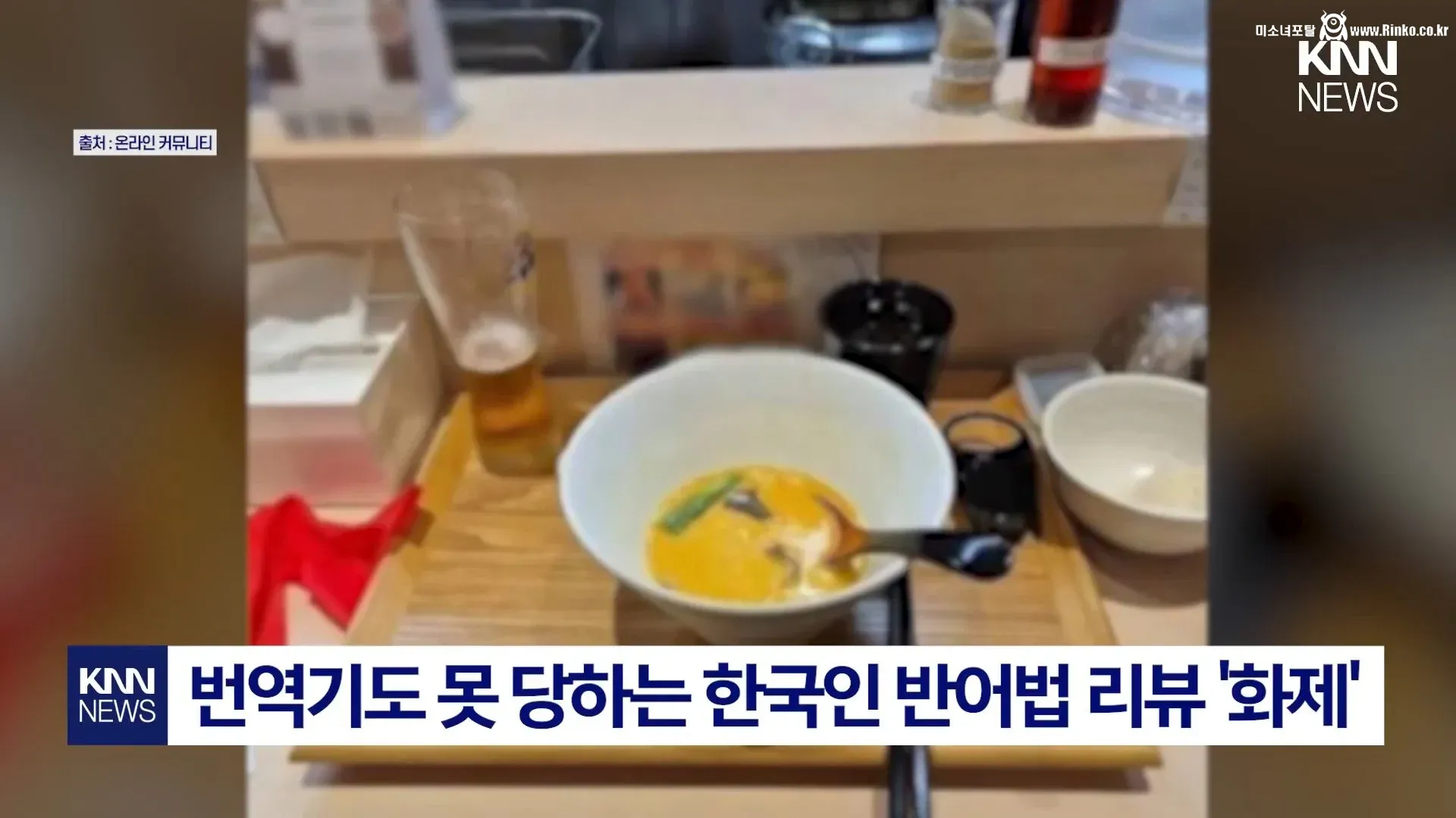 번역기도 못 당하는 한국인 반어법 리뷰 1