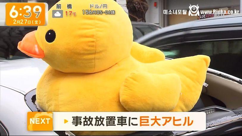 교통사고 현장에 남겨진 의문의 오리 1