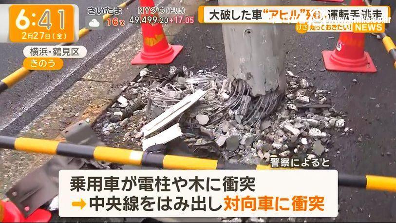 교통사고 현장에 남겨진 의문의 오리 3