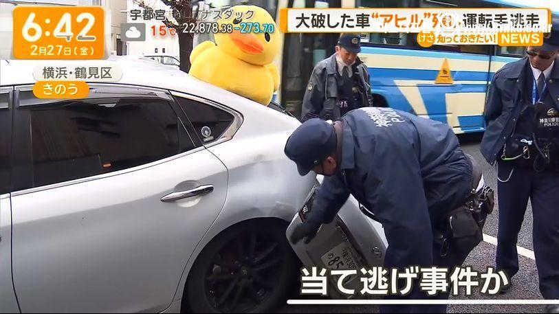 교통사고 현장에 남겨진 의문의 오리 4