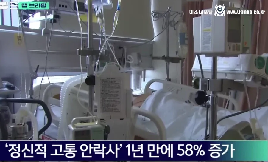 유럽에서 정신고통으로 인한 젊은층 안락사 논란 3