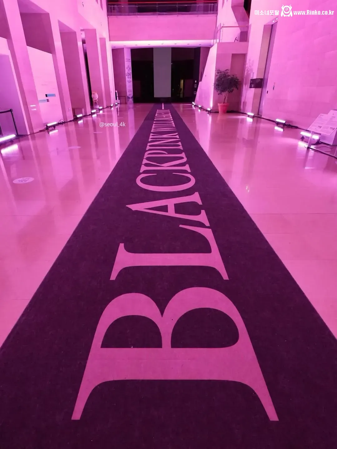 국립 중앙 박물관과 콜라보 한 블랙핑크 2