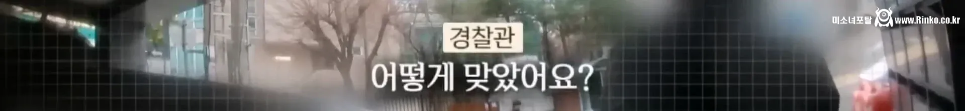 외국인 딸배 "오히려 한국인 신고한다" 21