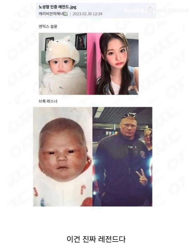 노성형 인증 레전드 1