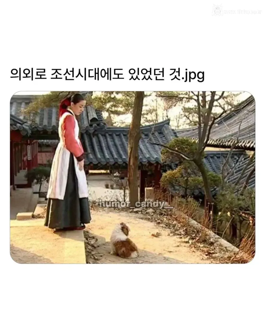 의외로 조선시대에 있었던 견종 1