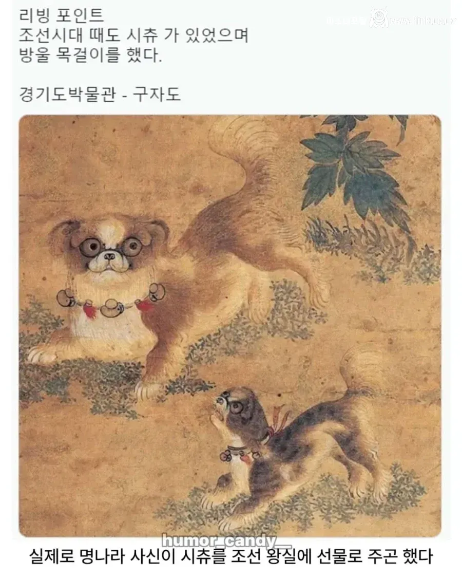 의외로 조선시대에 있었던 견종 4