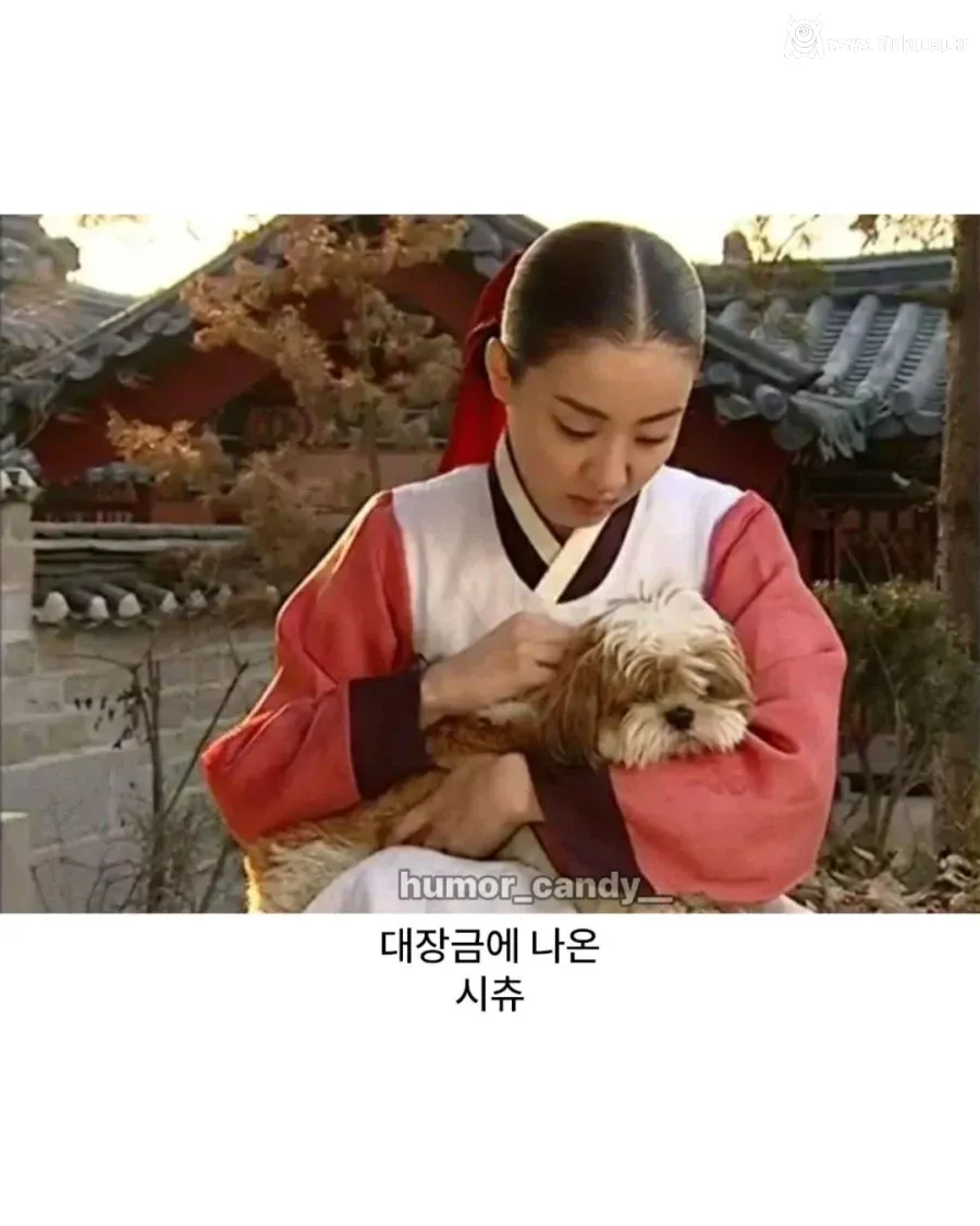 의외로 조선시대에 있었던 견종 3