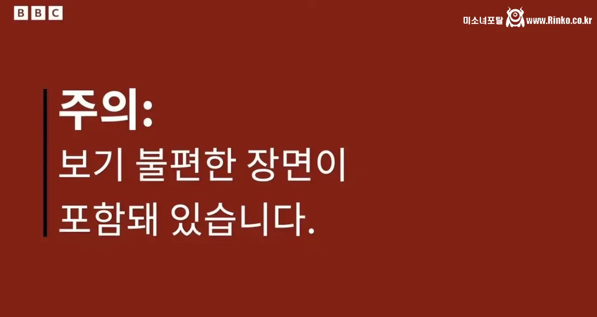 이란 사람들이 직접 증언하는 최근 이란 시위 1