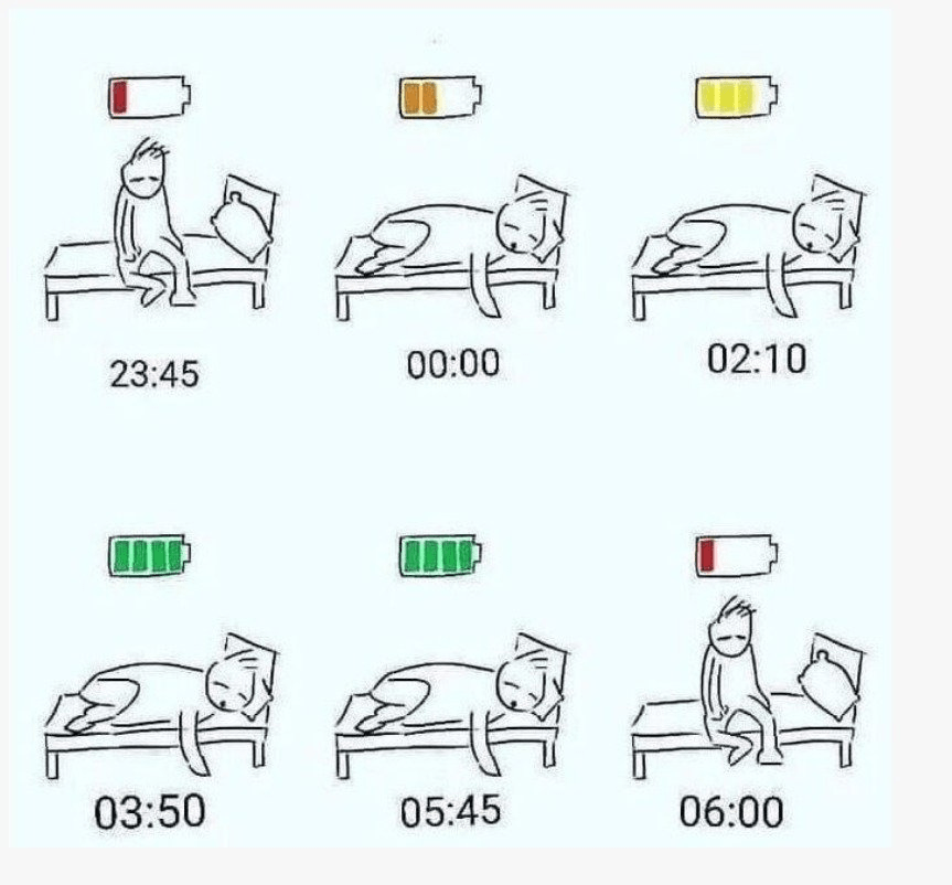 잘 때 몸이 회복하는 신비한 과정