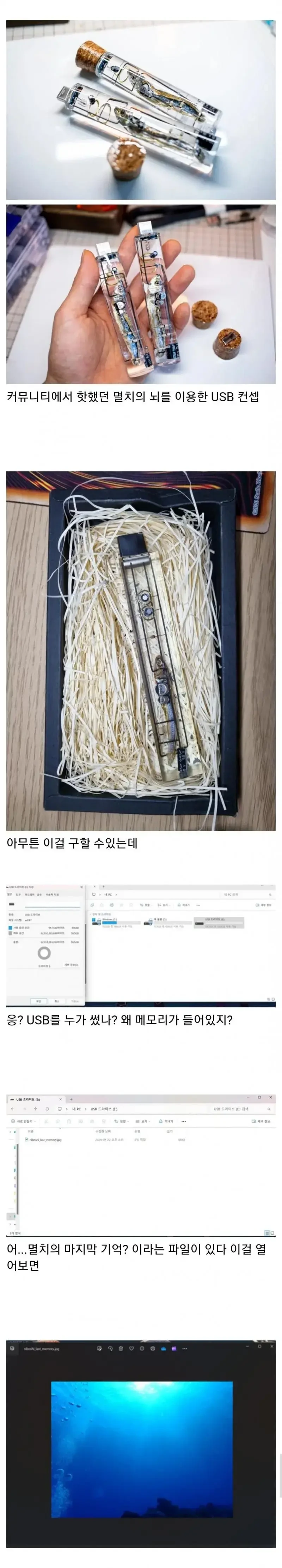 멸치의 뇌를 이용한 USB