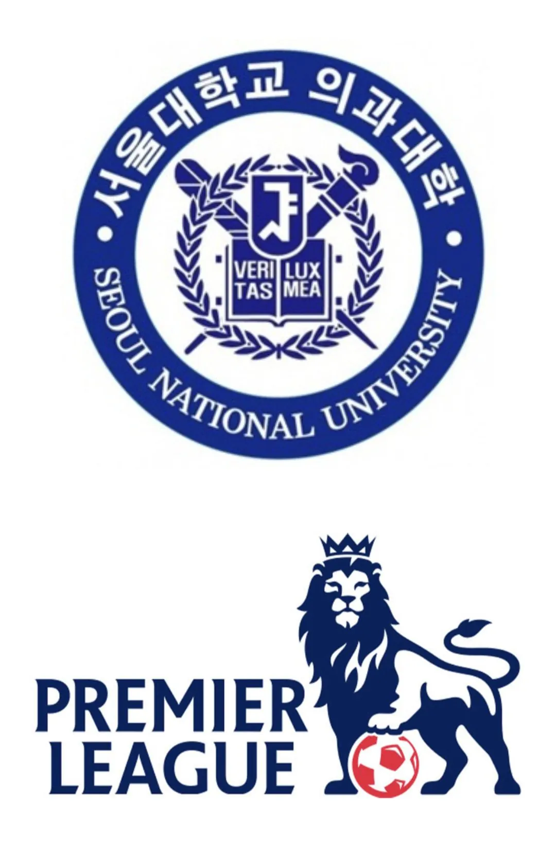 서울대 의대 졸업 vs EPL 1경기 출전