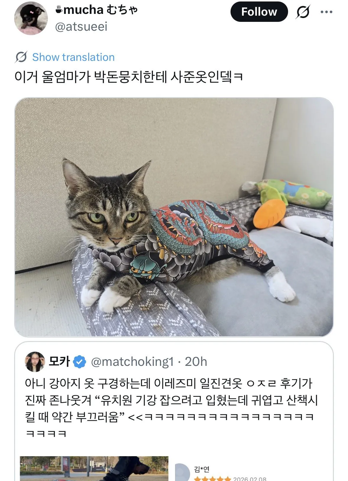 강아지 유치원 초반 기강잡는 방법