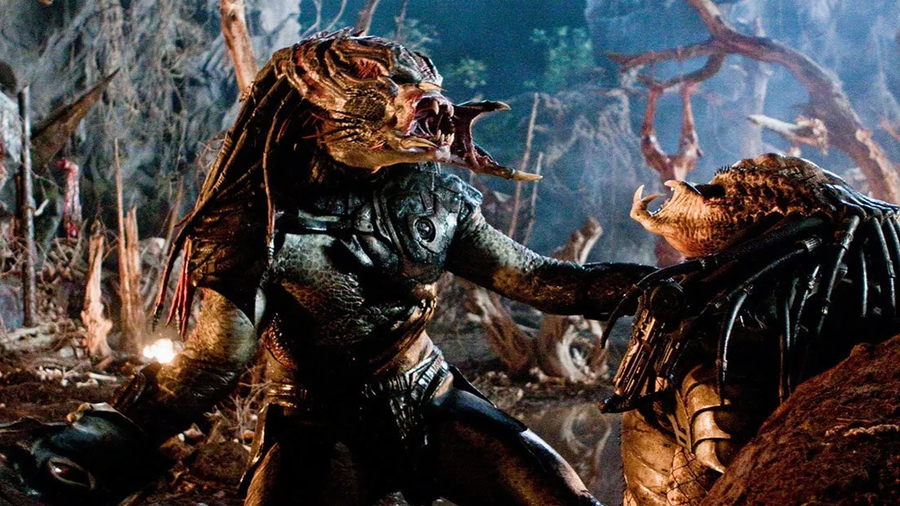 스타크래프트 각 매칭별 특징