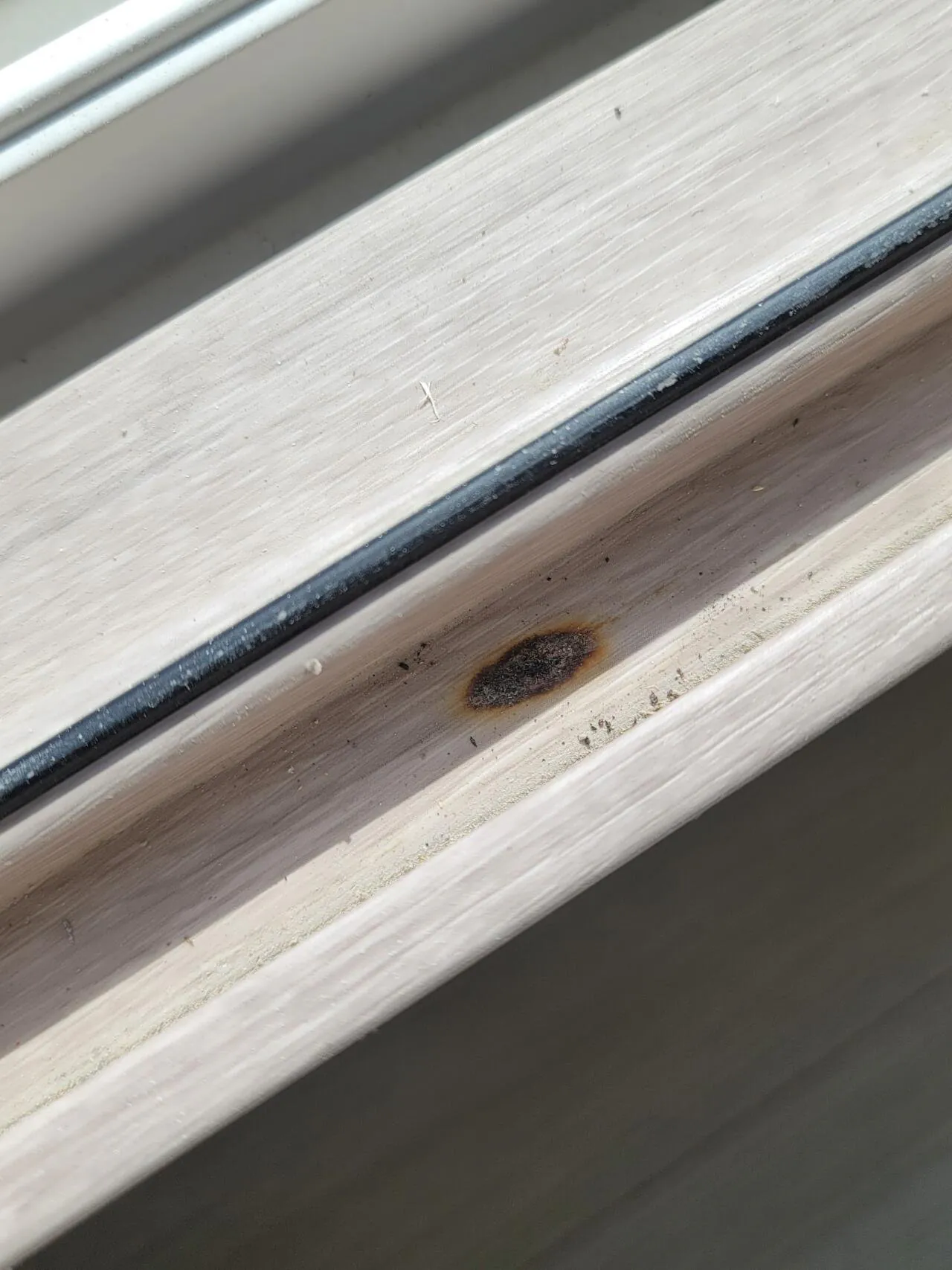 입주 한 달 남은 신축아파트 사전점검 실태