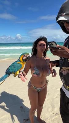 앵무새 키우는 라틴 거유녀 1